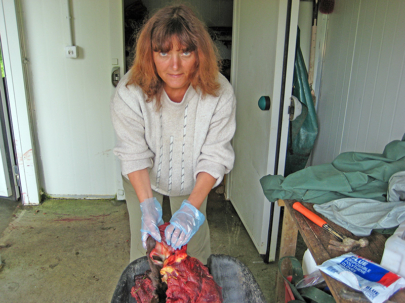 Небюджетная Океания: акулы, киты и ... большие кошки