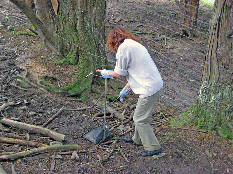Небюджетная Океания: акулы, киты и ... большие кошки