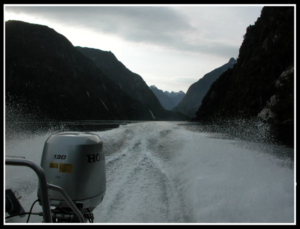 В Новую Зеландию на месяц на зимние каникулы