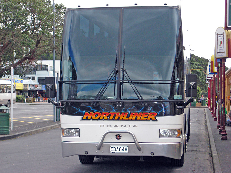 Небюджетная Океания: акулы, киты и ... большие кошки