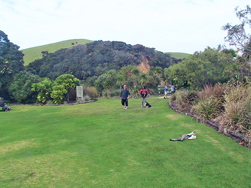 Небюджетная Океания: акулы, киты и ... большие кошки