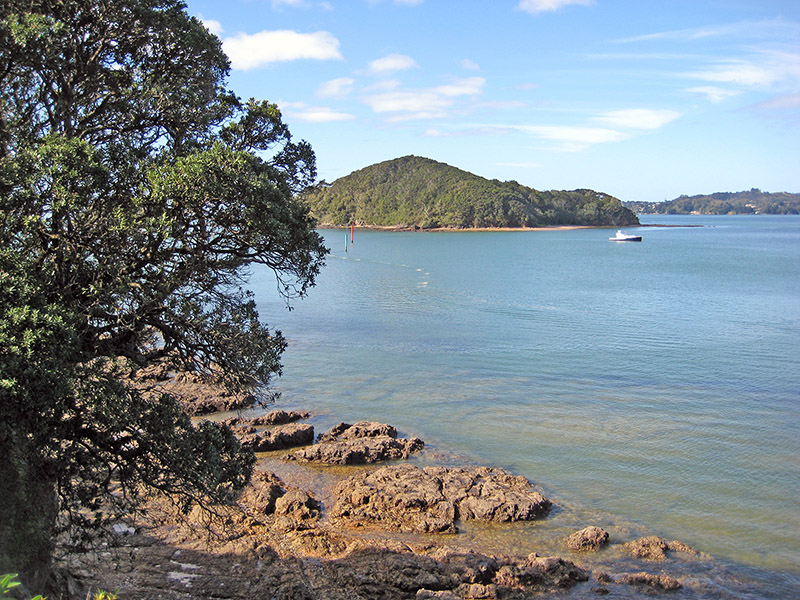 Небюджетная Океания: акулы, киты и ... большие кошки