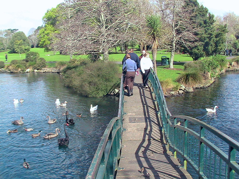 Небюджетная Океания: акулы, киты и ... большие кошки
