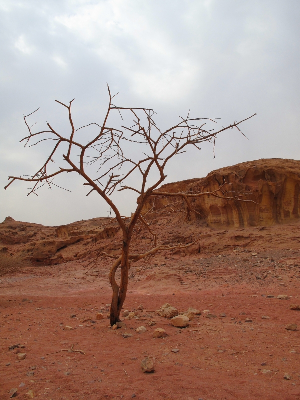 Израиль и Иордания. Картинки и немного инфо.