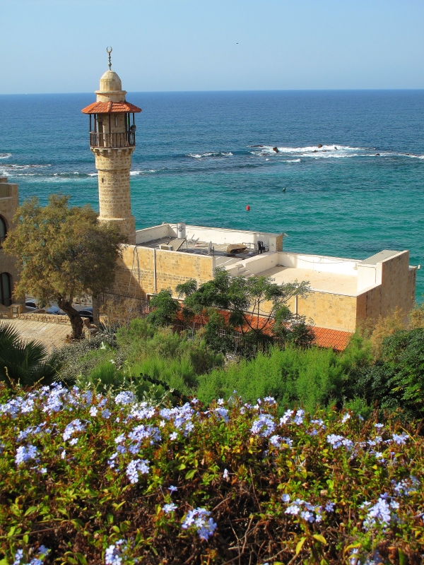 Израиль и Иордания. Картинки и немного инфо.