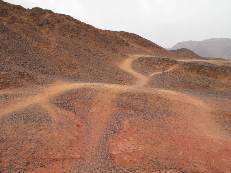 Израиль и Иордания. Картинки и немного инфо.