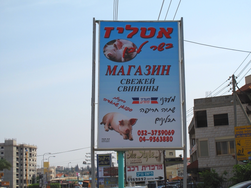 Израиль и Иордания. Картинки и немного инфо.