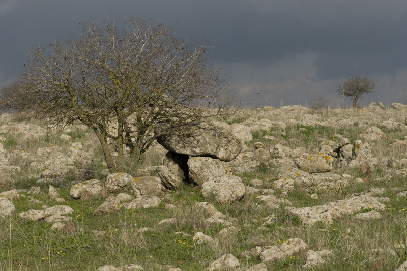 Израиль - фотоотчет: от рассвета до заката