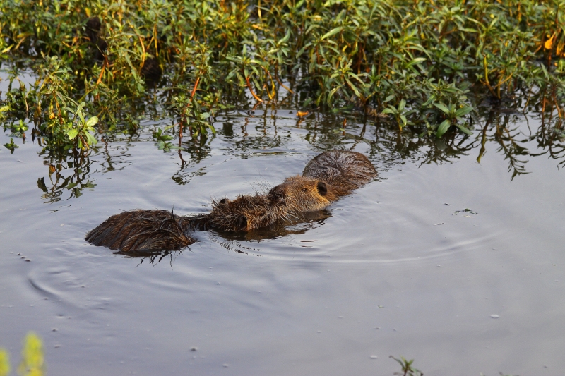 Израиль и Иордания. Картинки и немного инфо.