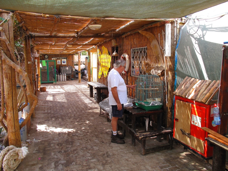 Израиль и Иордания. Картинки и немного инфо.