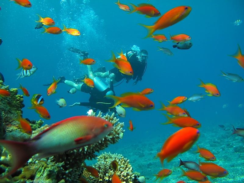 Израиль и Иордания. Картинки и немного инфо.