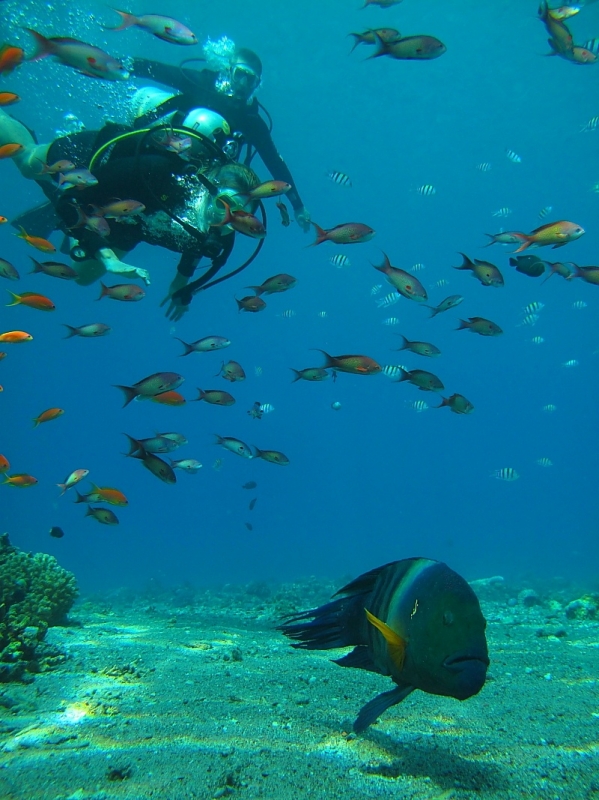 Израиль и Иордания. Картинки и немного инфо.