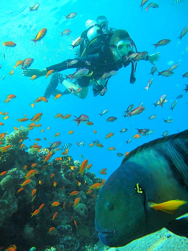 Израиль и Иордания. Картинки и немного инфо.