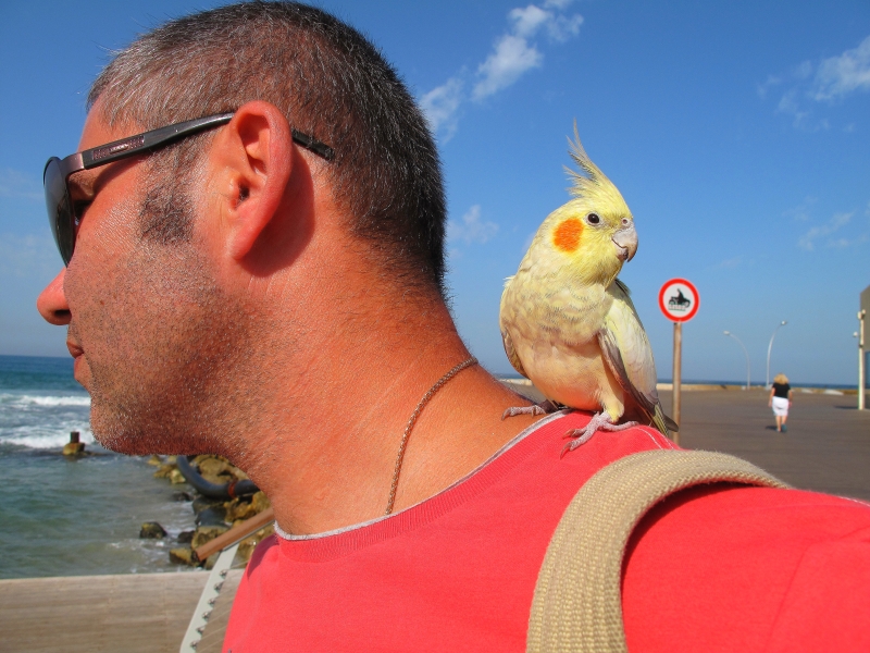 Израиль и Иордания. Картинки и немного инфо.