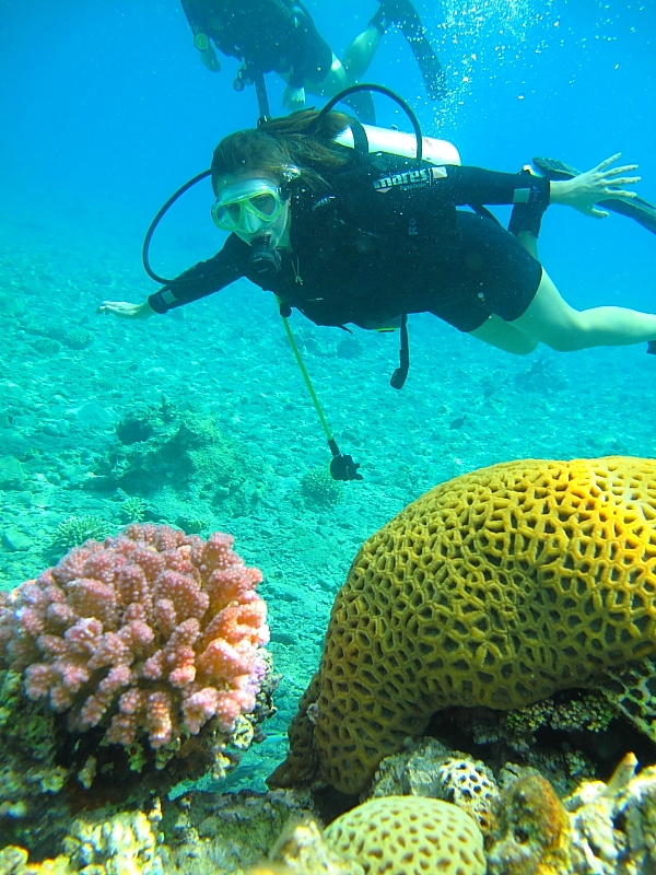 Израиль и Иордания. Картинки и немного инфо.