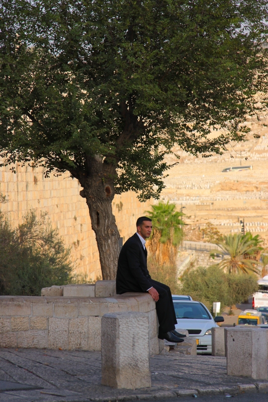 Израиль и Иордания. Картинки и немного инфо.