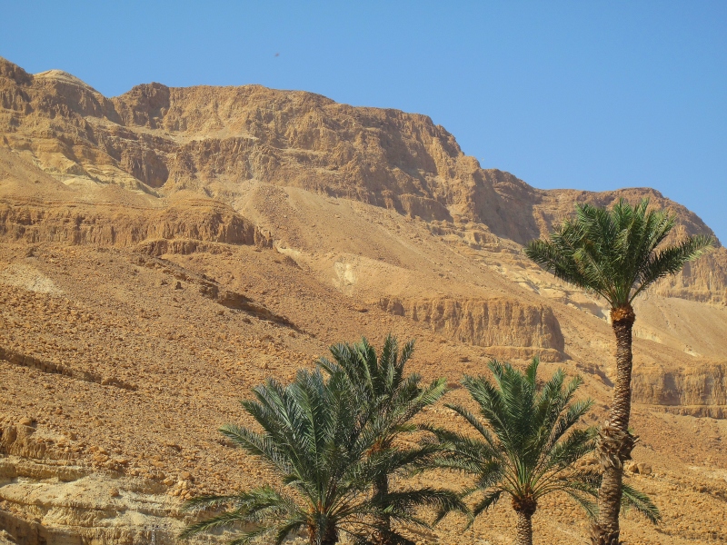 Израиль и Иордания. Картинки и немного инфо.