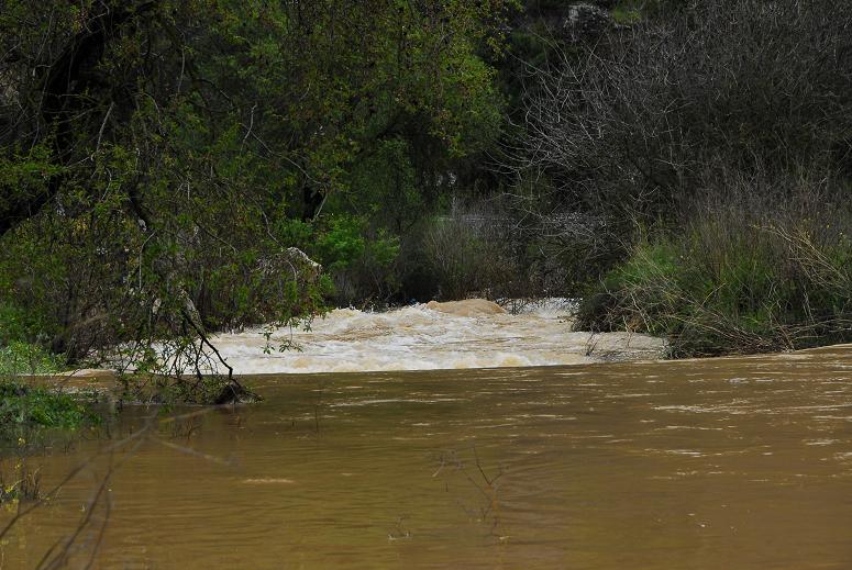 Встречаем весну в Израиле