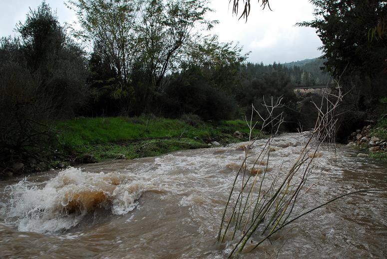 Встречаем весну в Израиле