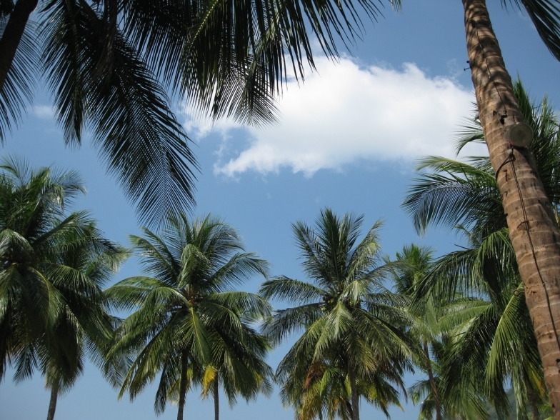 +Малайзия к 4м поездкам в Тай(размышления и"семейные"  фото)