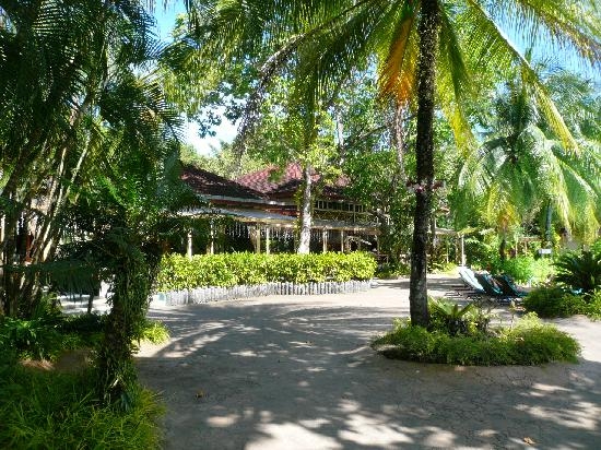 +Малайзия к 4м поездкам в Тай(размышления и"семейные"  фото)