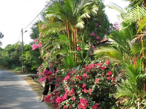 +Малайзия к 4м поездкам в Тай(размышления и"семейные"  фото)