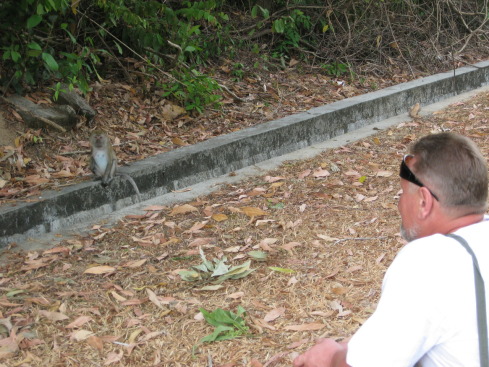 +Малайзия к 4м поездкам в Тай(размышления и"семейные"  фото)