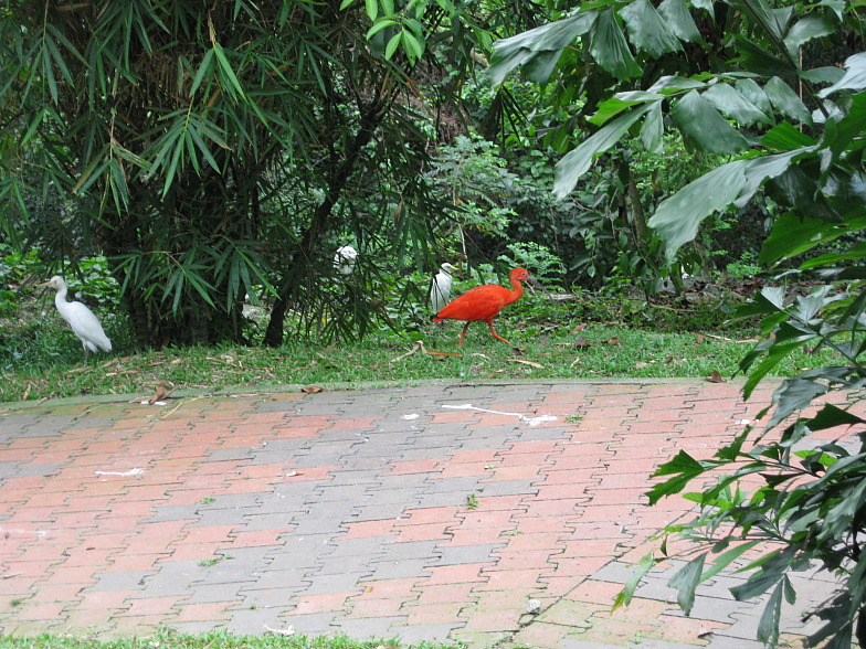 +Малайзия к 4м поездкам в Тай(размышления и"семейные"  фото)