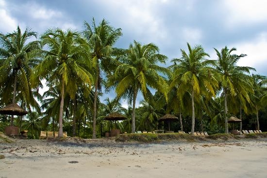 +Малайзия к 4м поездкам в Тай(размышления и"семейные"  фото)