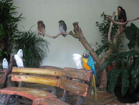 +Малайзия к 4м поездкам в Тай(размышления и"семейные"  фото)