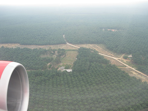 +Малайзия к 4м поездкам в Тай(размышления и"семейные"  фото)