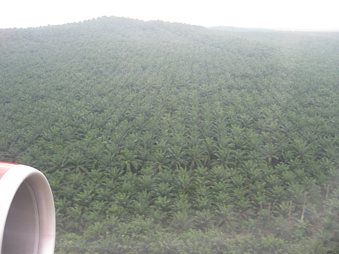 +Малайзия к 4м поездкам в Тай(размышления и"семейные"  фото)