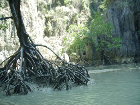 +Малайзия к 4м поездкам в Тай(размышления и"семейные"  фото)