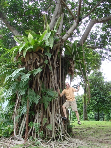 Бангкок – Камбоджа – Куала-Лумпур – Пукет (декабрь 2007)