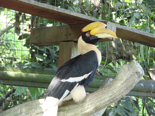 Бангкок – Камбоджа – Куала-Лумпур – Пукет (декабрь 2007)