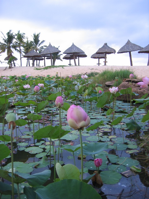 Тиоман(Berjaya Tioman Resort),  вспоминая Фукуок