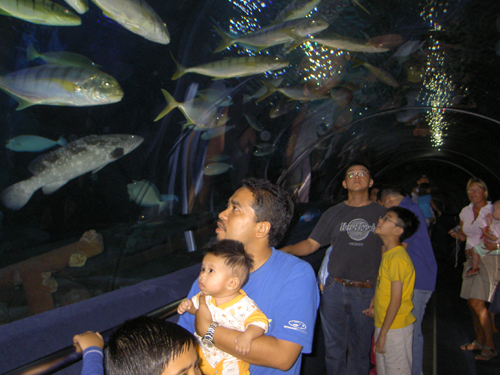 Бангкок – Камбоджа – Куала-Лумпур – Пукет (декабрь 2007)