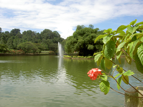 Бангкок – Камбоджа – Куала-Лумпур – Пукет (декабрь 2007)