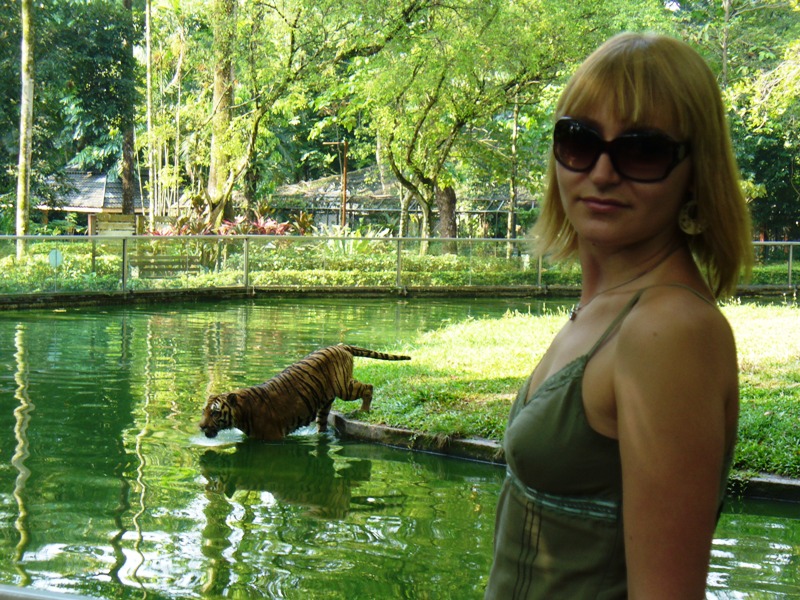 ПТТ-Чанг-БКК (+ немного фото из прошлых поездок) ПТТ-Чанг-БКК (+ немного фото из прошлых поездок)