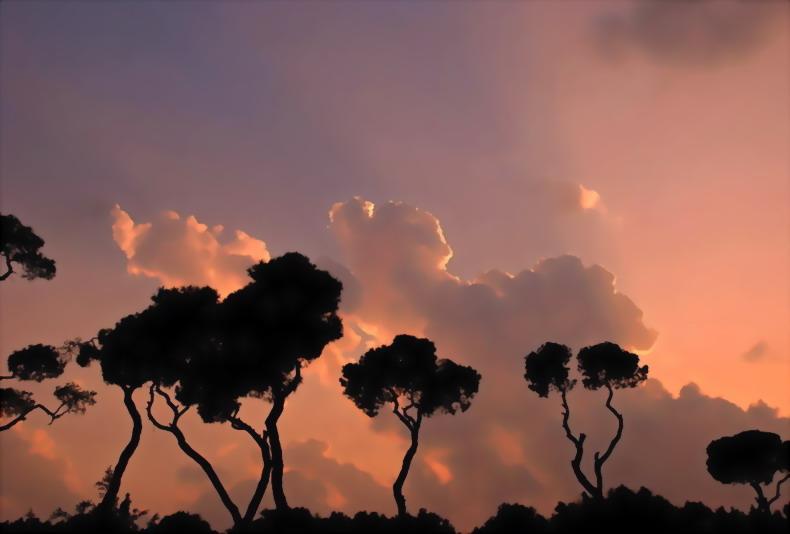 Декабрьский Ливан, фото.