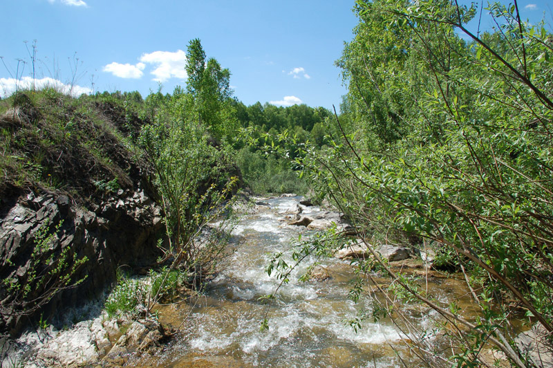 Пионерский лагерь AWD. 10 июля 2010, Новосибирск