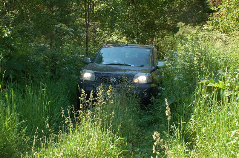 Новосибирск - 11 июля "Сибирские Гавайи"