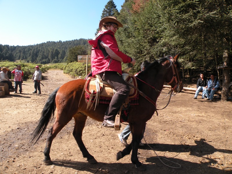 Мексика на машине 4500 км.