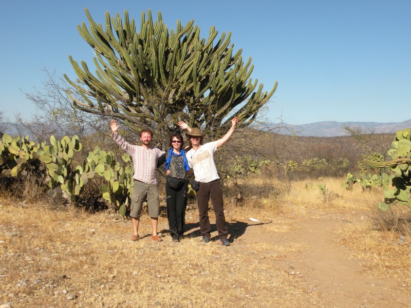 Мексика на машине 4500 км.