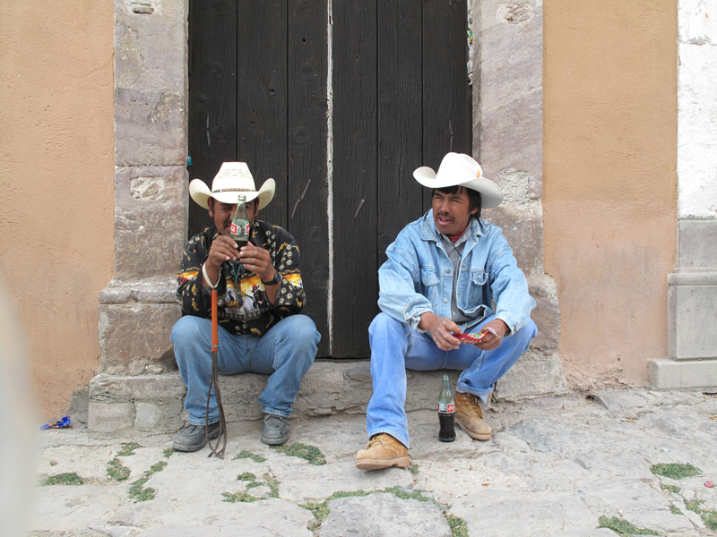 Кактус пейот в Мексике, пустыня Вирикута и город Реал Каторсе