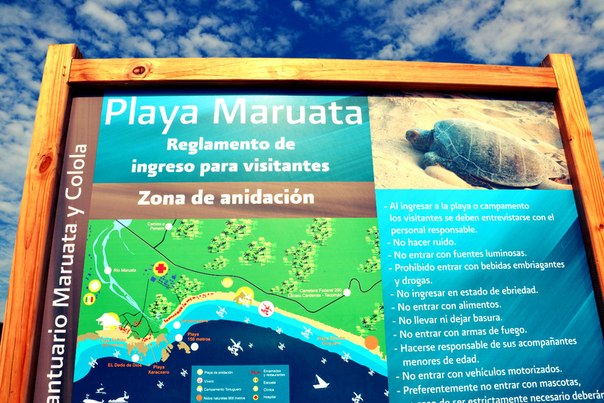 Большое путешествие от Атлантического до Тихого океана (мнооого фото)