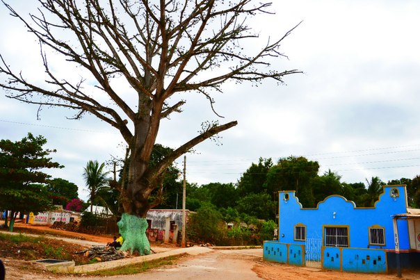 Большое путешествие от Атлантического до Тихого океана (мнооого фото)