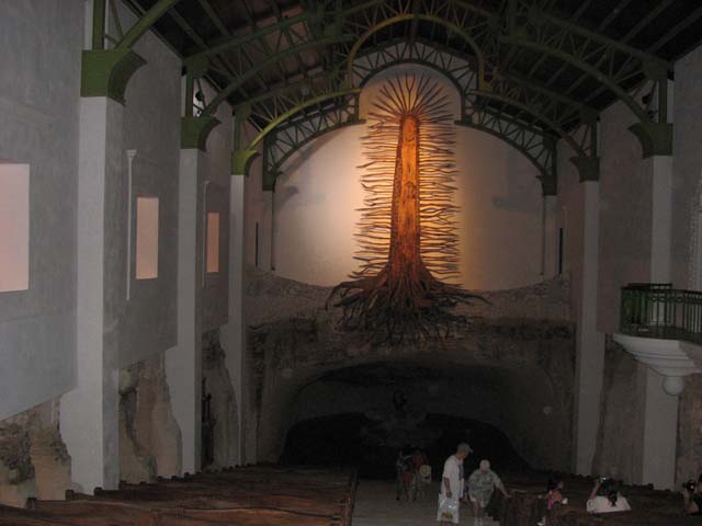 Мексика: подземные воды юкатана (ноябрь 2009)