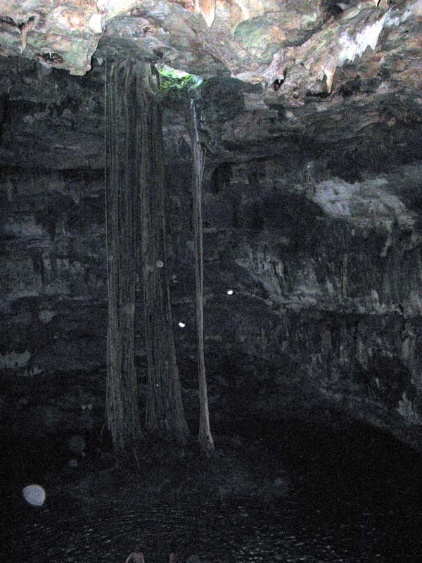 Мексика: подземные воды юкатана (ноябрь 2009)