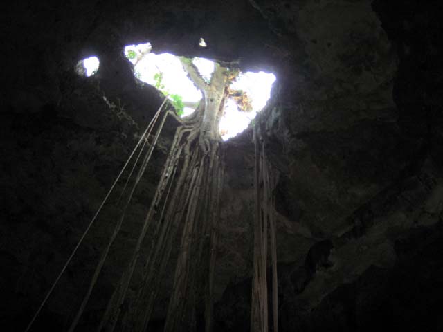 Мексика: подземные воды юкатана (ноябрь 2009)